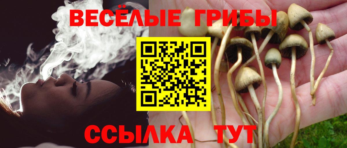 Галлюциногенные грибы Cubensis Рыбинск
